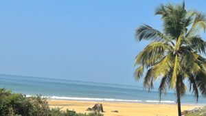 IMG 0324 1 Edited 300x169